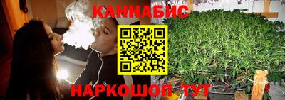 хмурый Кингисепп