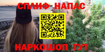 хмурый Кингисепп