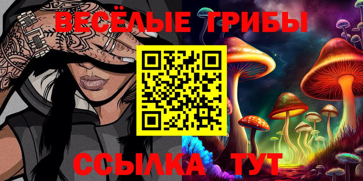 Галлюциногенные грибы GOLDEN TEACHER Краснокаменск